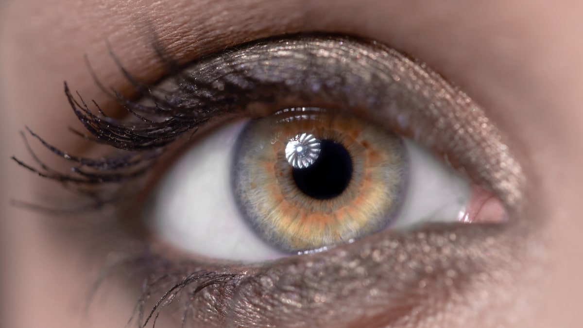 What Is The Rarest Eye Color?, Blog