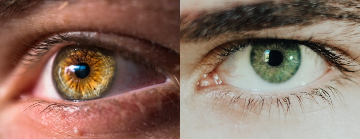 Hazel Eyes Vs Green Eyes | What Are The Hazel Eyes And Green Eyes ...