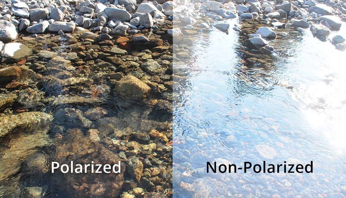 Polarized Vs Non-Polarized Sunglasses for Driving